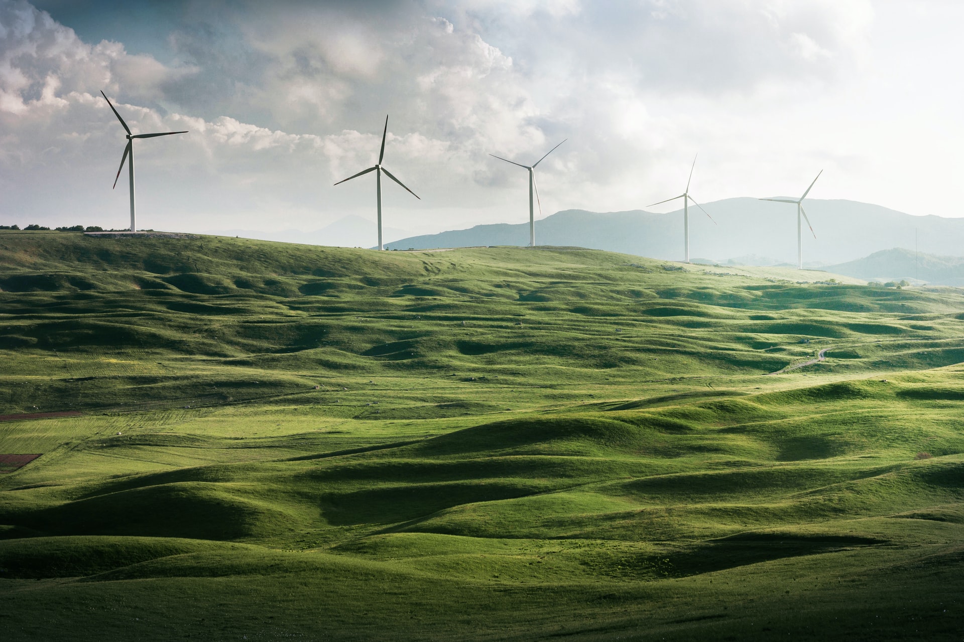windmills on green plains